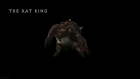 rat king model