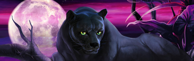   Panther Moon