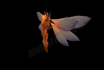 gallery_47244_1609_143354.jpg