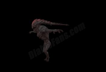 gallery_47244_1609_66808.jpg